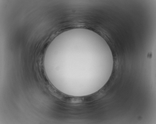X0000113910373200909241311