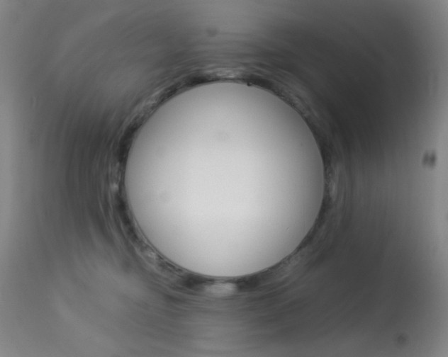 X0000113910374200909241311