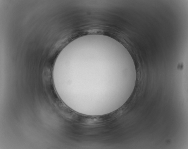 X0000113910375200909241311