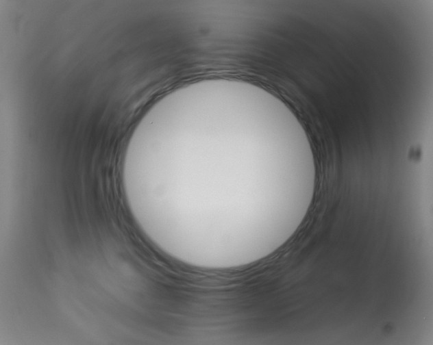 X0000113910376200909241311