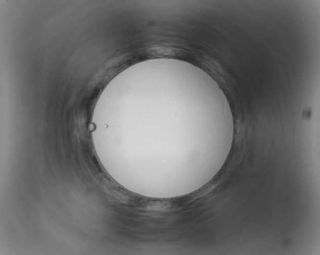 X0000113910377200909241311
