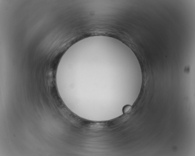 X0000113910378200909241311