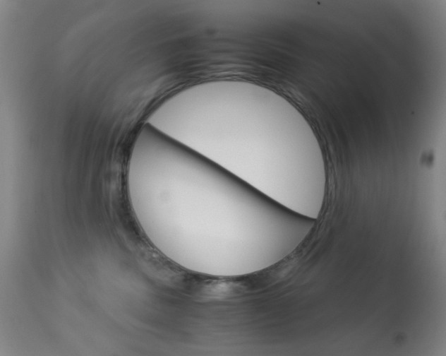 X0000113910379200909241311