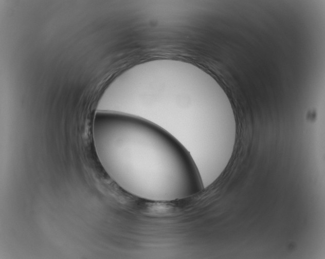X0000113910380200909241311