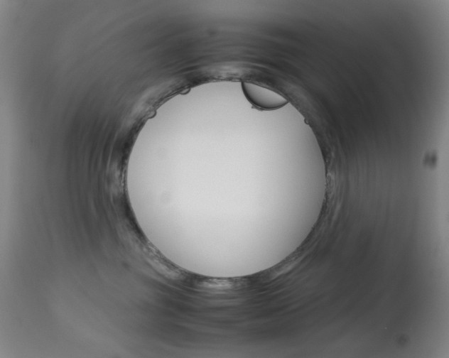 X0000113910381200909241311