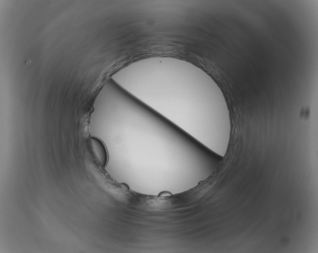 X0000113910383200909241312