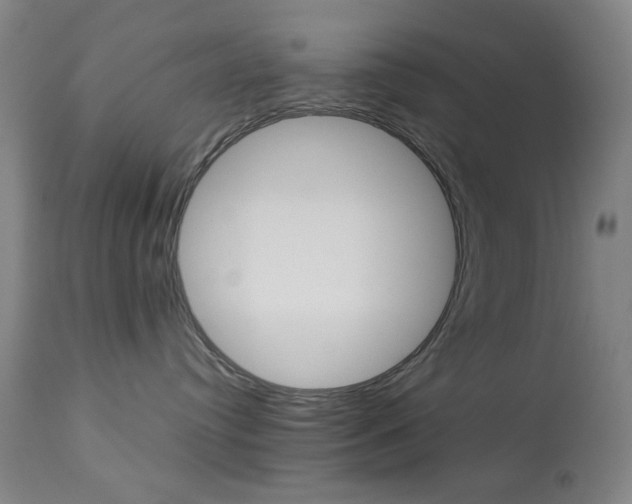 X0000113910384200909241312