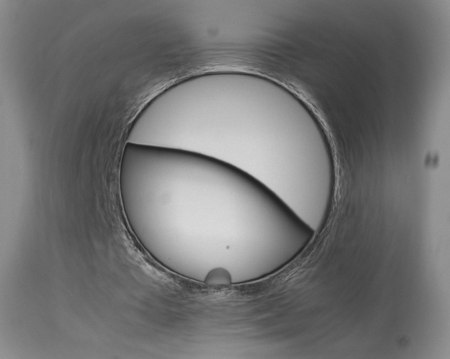 X0000113910385200909241311