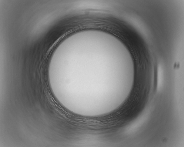 X0000113910387200909241311