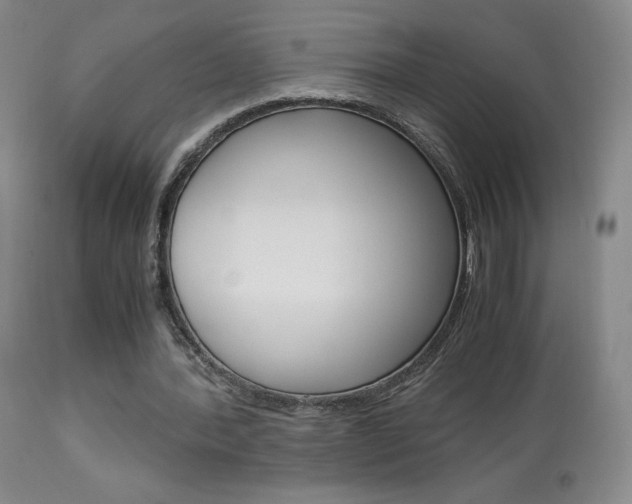 X0000113910388200909241311