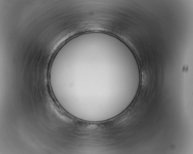 X0000113910390200909241311