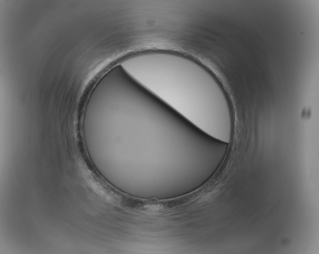 X0000113910391200909241311