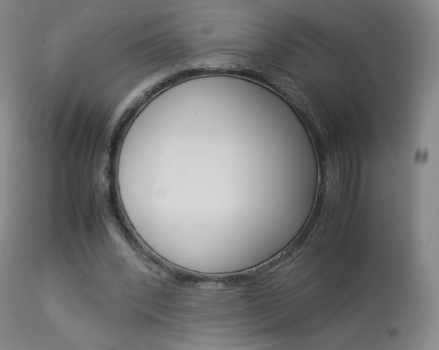 X0000113910392200909241311