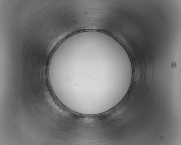 X0000113910394200909241310