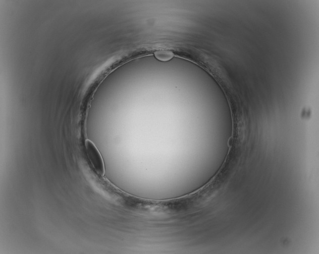 X0000113910395200909241310