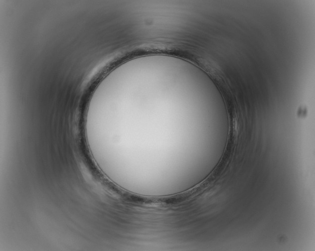 X0000113910396200909241310
