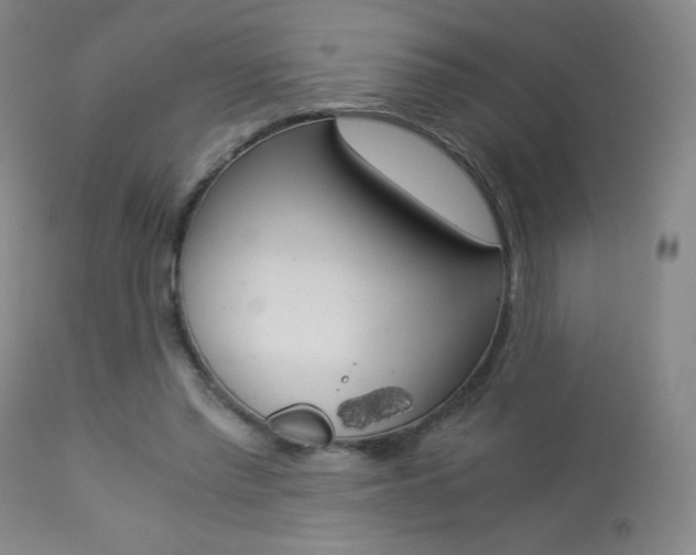 X0000113910397200909241310