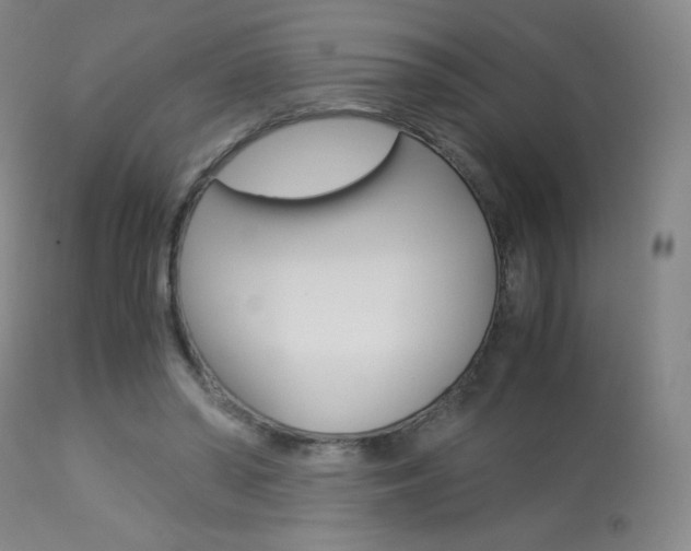 X0000113910398200909241310