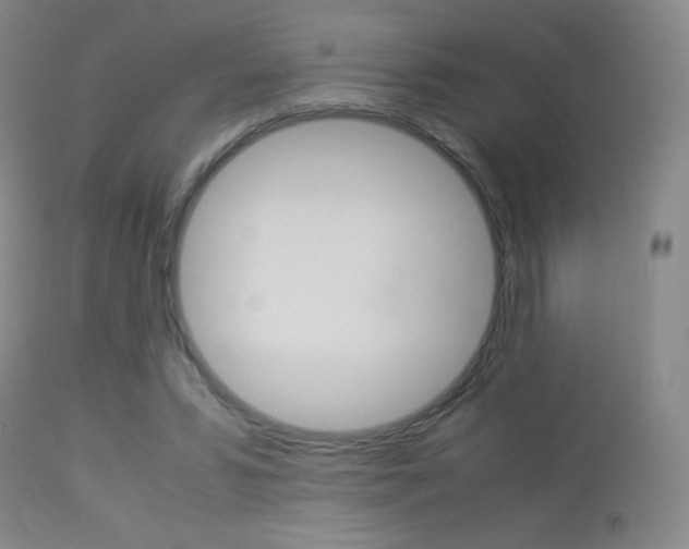 X0000113910399200909241310