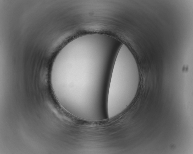 X0000113910400200909241310