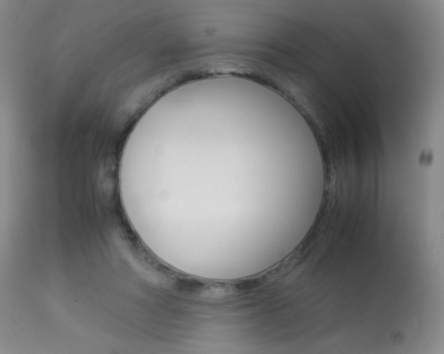 X0000113910402200909241310