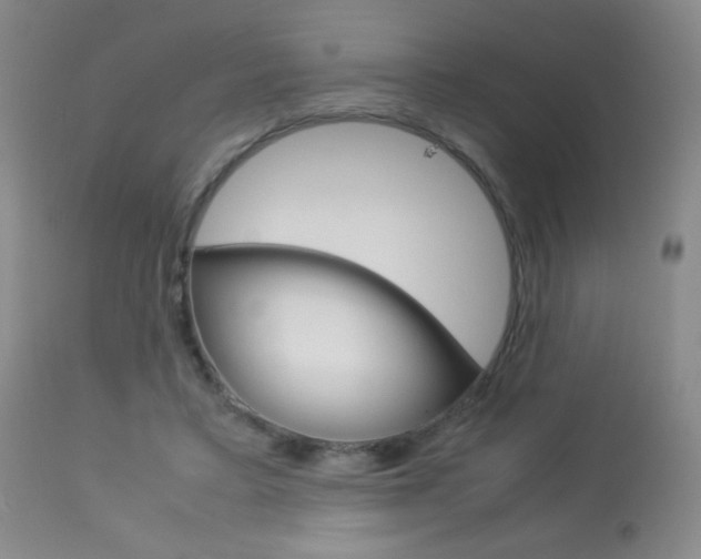 X0000113910403200909241310