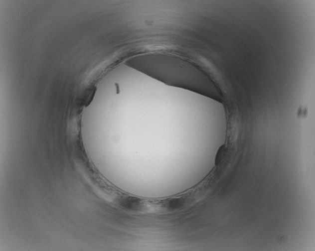 X0000113910405200909241310
