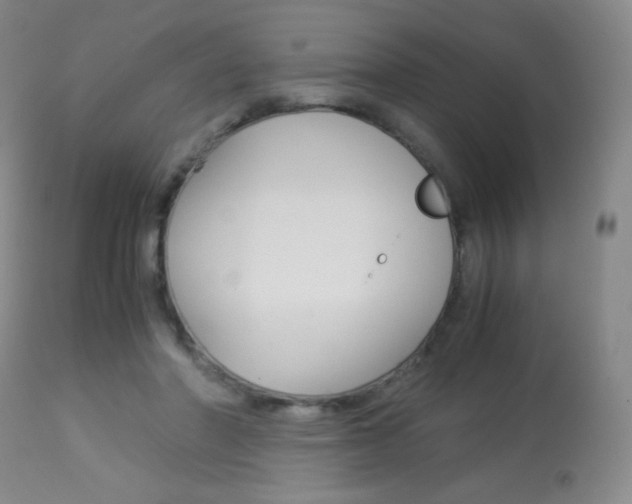 X0000113910406200909241310