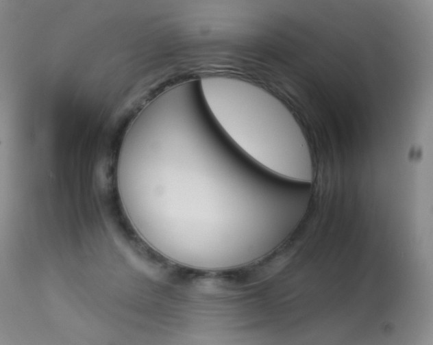 X0000113910408200909241310