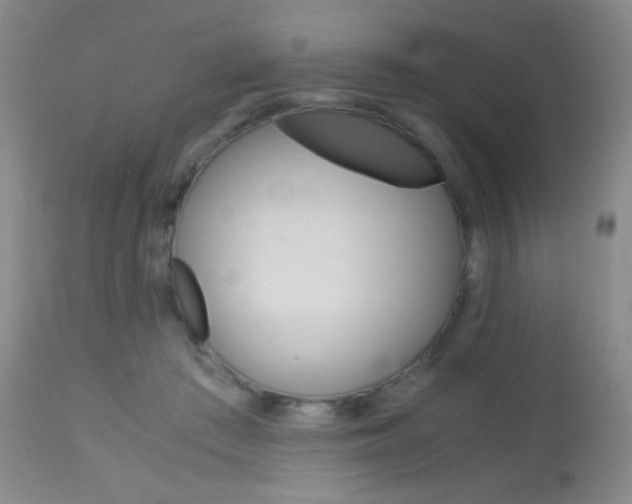 X0000113910409200909241310