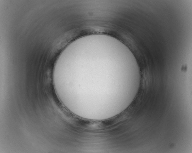 X0000113910410200909241310
