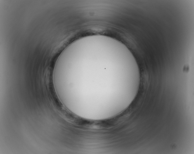 X0000113910412200909241310