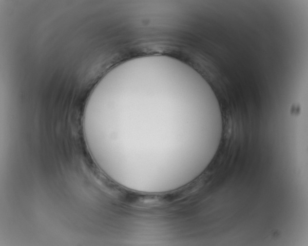 X0000113910414200909241310