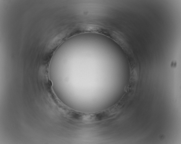 X0000113910415200909241310
