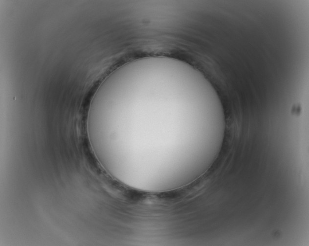 X0000113910416200909241310