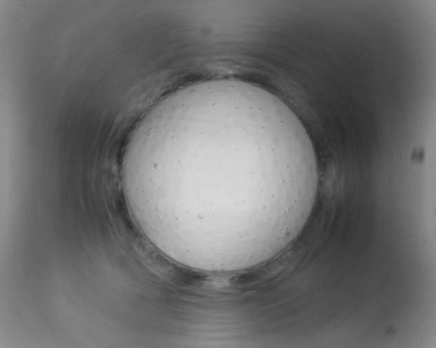 X0000113910418200909241310