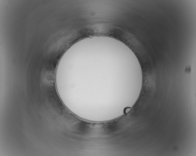 X0000113910419200909241310