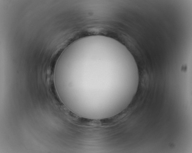 X0000113910420200909241310