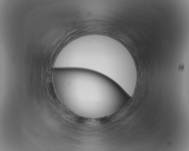 X0000113910421200909241310