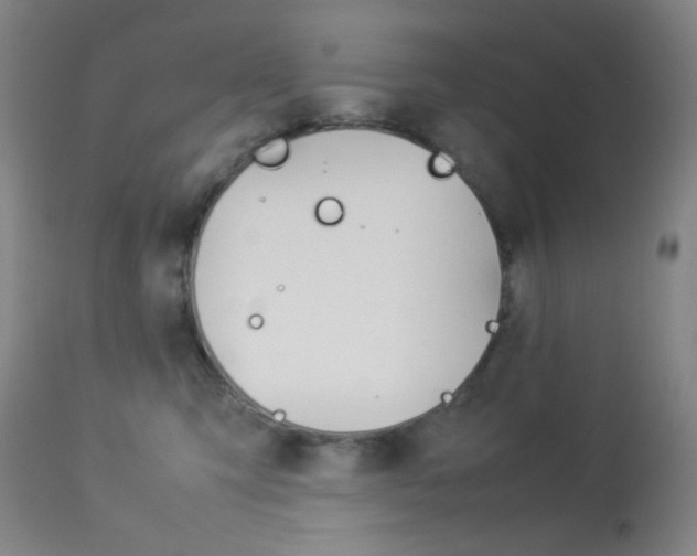 X0000113910423200909241310