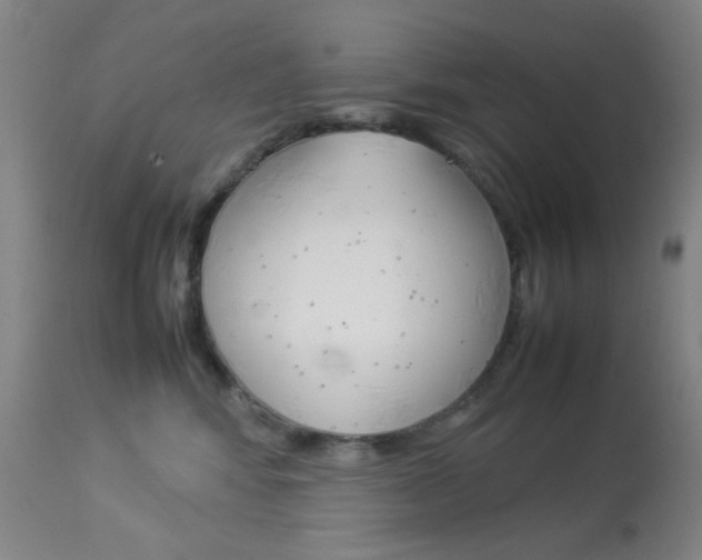 X0000113910424200909241310