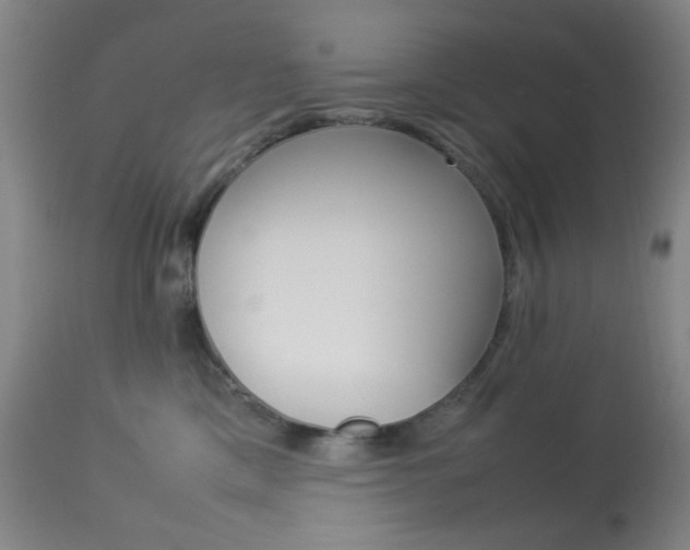 X0000113910425200909241310