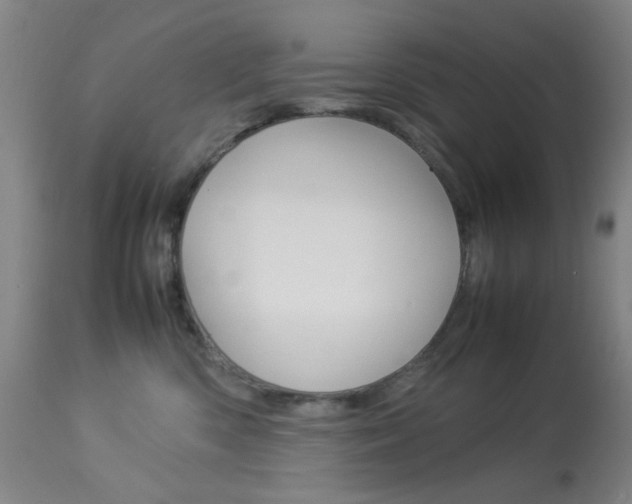 X0000113910426200909241310