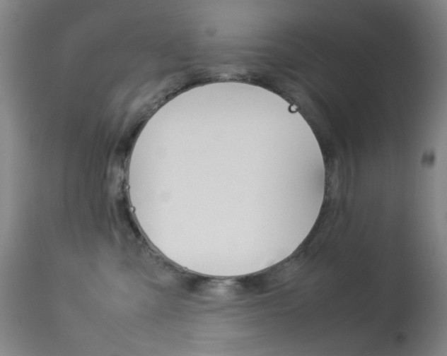 X0000113910427200909241310