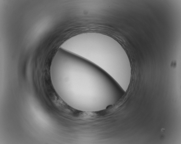 X0000113910429200909241310