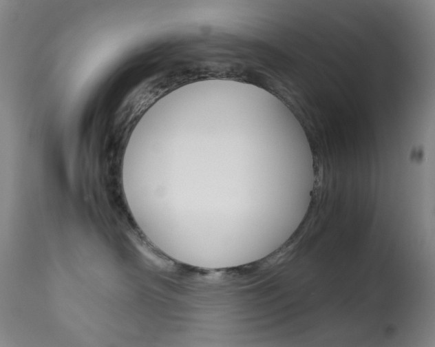 X0000113910430200909241310