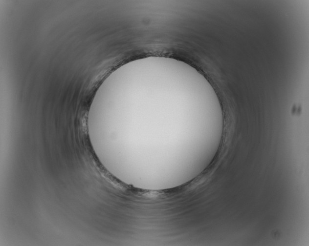 X0000113910432200909241310