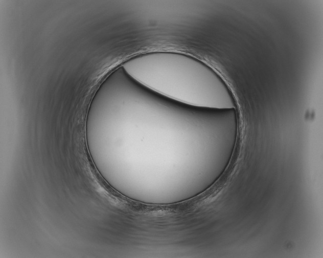 X0000113910433200909241309