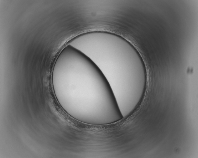 X0000113910434200909241309
