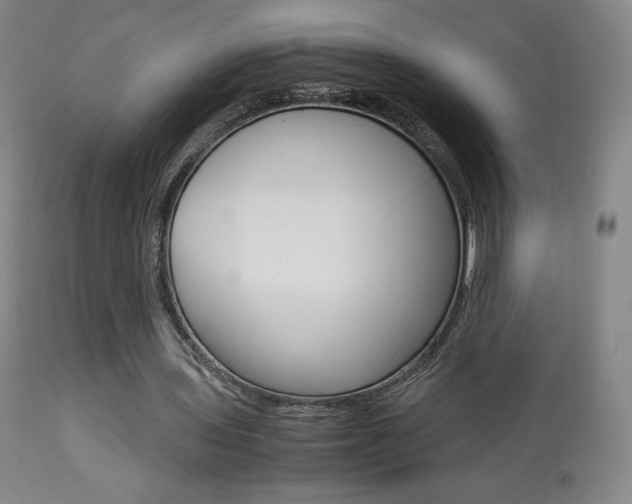 X0000113910435200909241309
